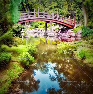 تصویر با کیفیت پل چوبی در باغ 
